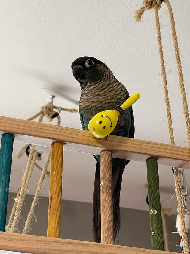 Thumbnail 4 de WACURRENTHYD Mini Sand Hammer 7cm