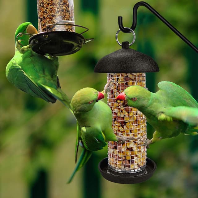 Detalle 2 de Urban Deco Bird Feeders for Small Birds (2-pack) – Hanging metal tube and peanut feeders