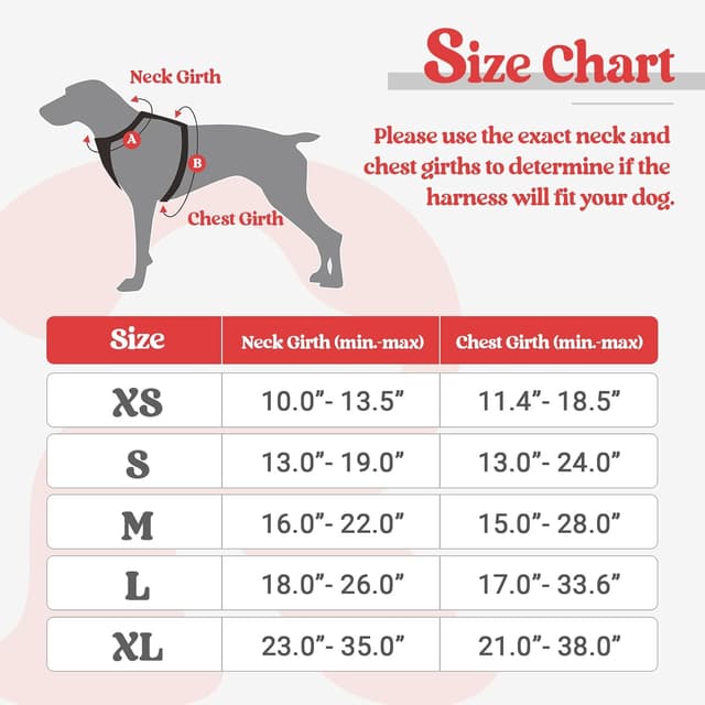 Detalle 2 de Harnais anti-traction rabbitgoo noir et rouge XS avec poignée