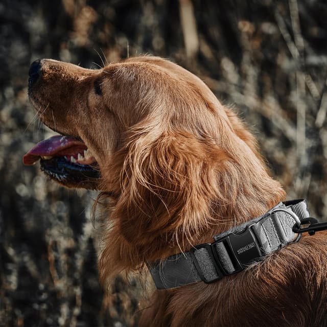 Thumbnail 6 de Collare per cani OneTigris con fibbia in metallo e anello a D, nylon imbottito (grigio)