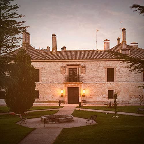 Thumbnail 4 de Pradorey Roble Origen Vino Tinto 🍷 Ribera del Duero