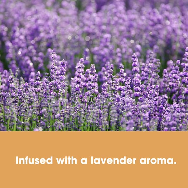 Thumbnail 6 de Limpiador suelos vinilo 500 ml