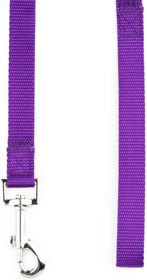 Detalle de YUDOTE Basic Nylon Dog Lead (2.5cm x 120cm) in Vibrant Purple