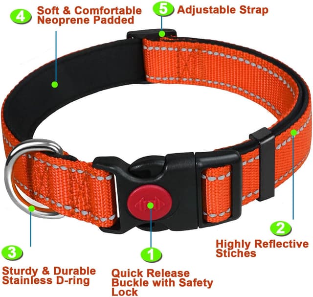 Detalle 2 de ATETEO Reflective Dog Collar M