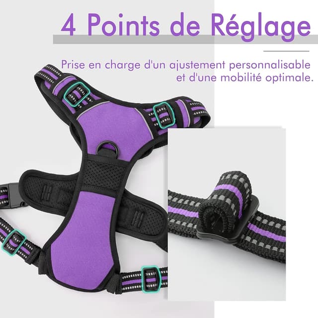 Thumbnail 3 de rabbitgoo Harnais Chien Anti Traction Violet XS