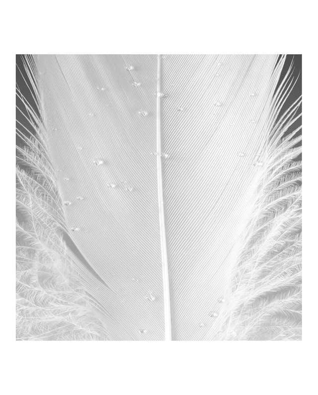 Thumbnail 5 de Gucci Eau de Parfum Muschio Di Luce