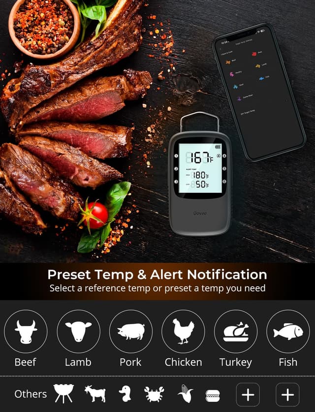 Detalle 2 de Govee Bluetooth Meat Thermometer with 2 Probes