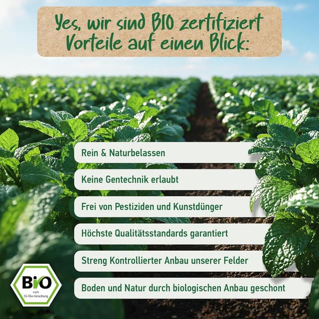 Thumbnail 4 de Bio Pfefferminzöl Pfefferminzöl natürlich