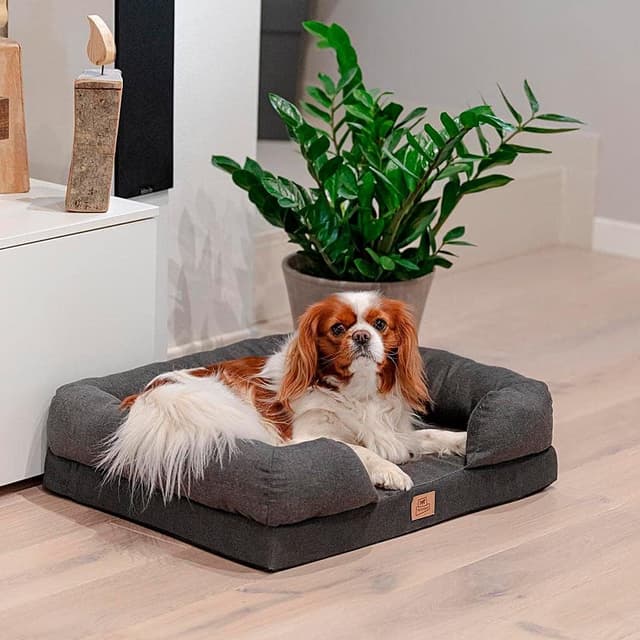 Detalle de Ferplast Orthopädisches Hundebett MEMOR-ONE mit Memory Foam, Grau – 64 x 52 x 16,5 cm