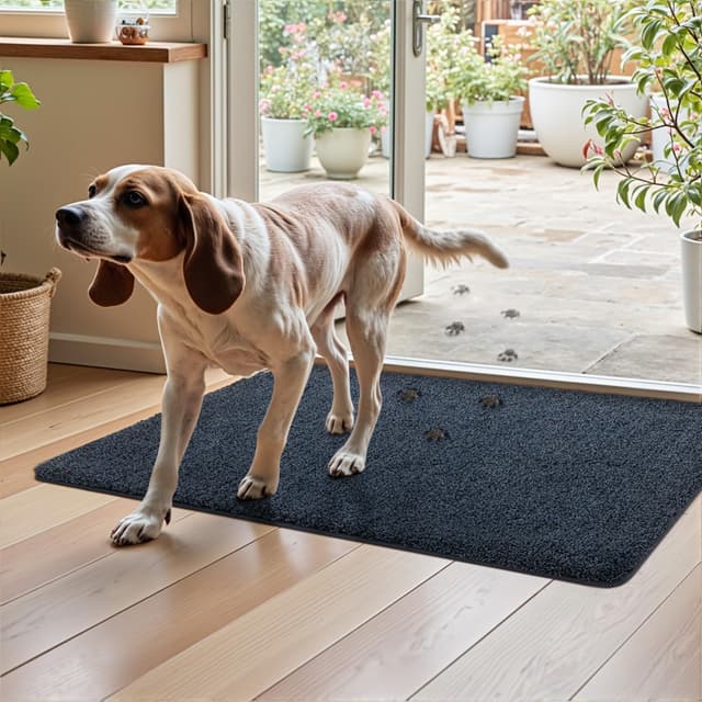 Detalle de DEXI Paillasson intérieur 90 x 150