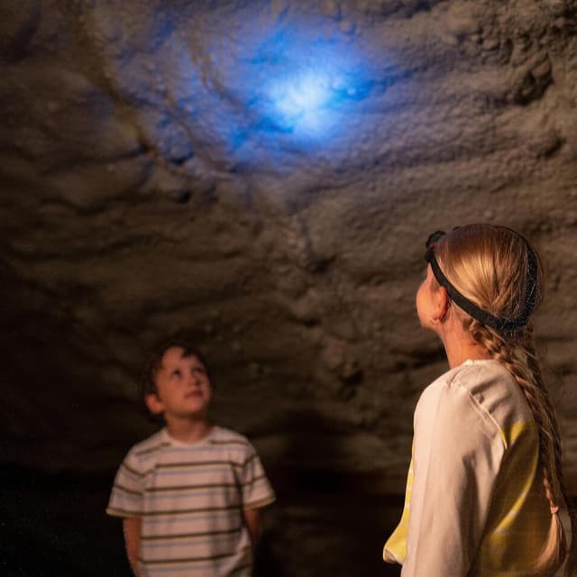 Detalle de Theo Klein 8758 Bosch lampe frontale ajustable avec élastique et coussinet frontal (à piles) – jouet dès 3 ans