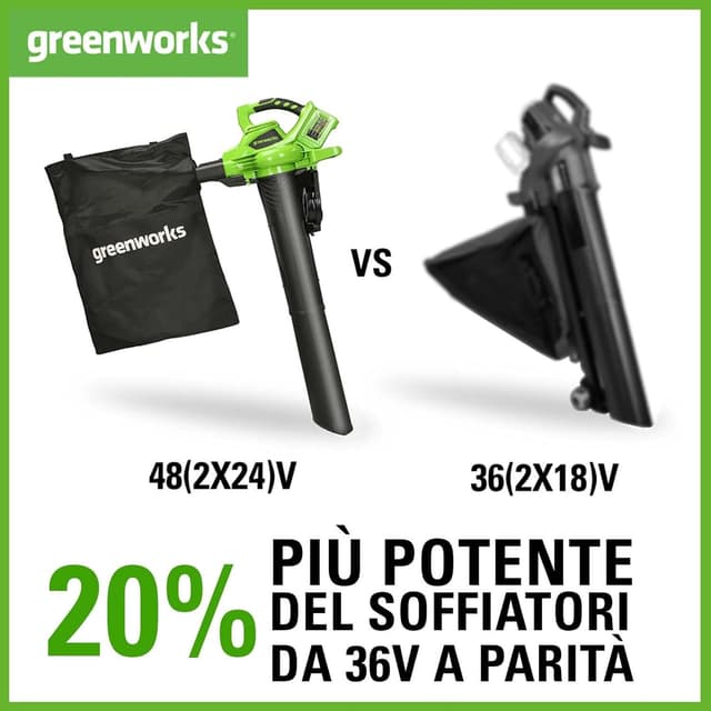 Detalle 1 de Greenworks 48V 2in1 Aspiratore Soffiatore