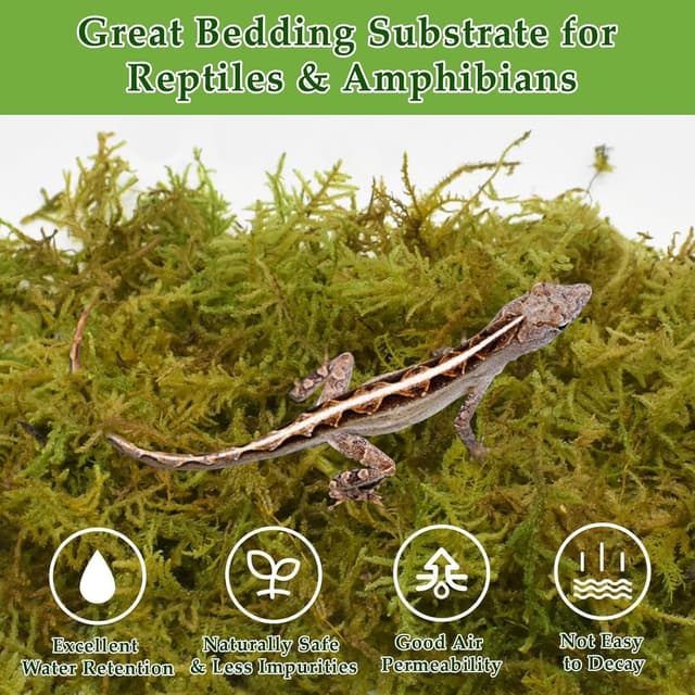 Detalle de Halatool Sphagnum Moos 260 g für Terrarien