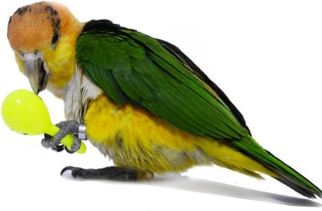 Thumbnail 3 de WACURRENTHYD Mini Sand Hammer 7cm