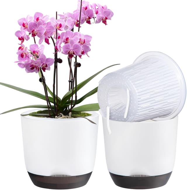 Detalle de QCQHDU 7.2in self-watering orchid pots