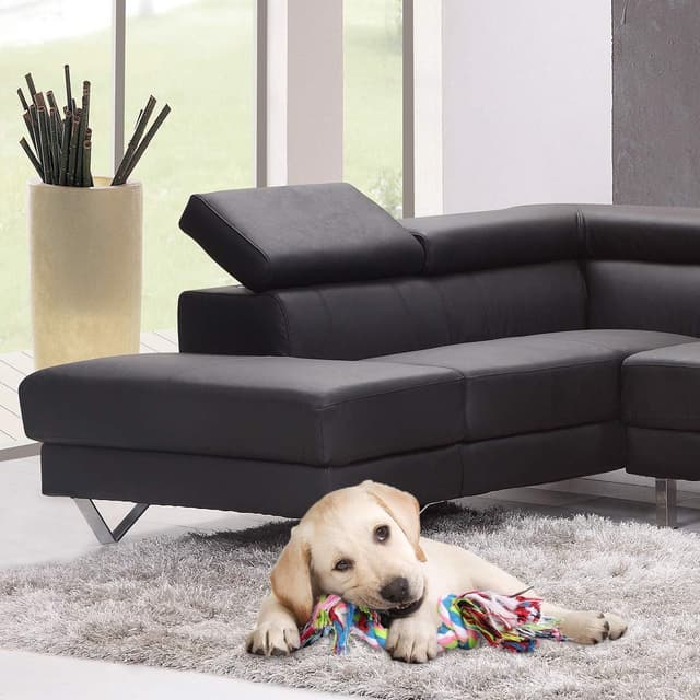 Thumbnail 4 de Wefine Puppy Chew Toys Cotton Rope 10 Pack