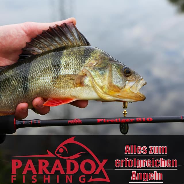 Thumbnail 6 de Paradox Fishing Angel Kescher gummiert 1,6m/2,1m