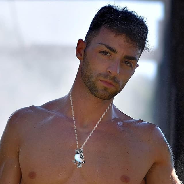 Detalle de XIANNVXI Crystal Owl Necklace with Opalite Pendant on a Silver Chain for Women