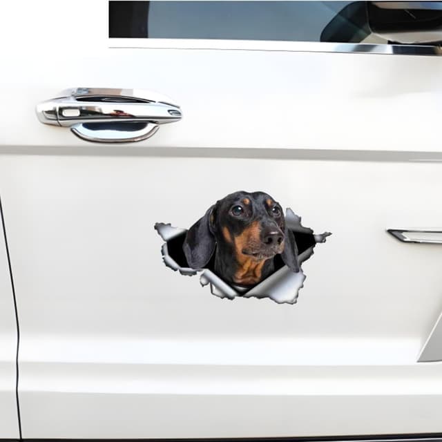 Thumbnail 3 de Dackel Reflektierend Aufkleber 18 cm