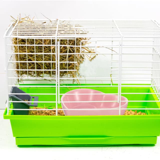 Thumbnail 6 de POPETPOP ceramic pet bowl 3 inch