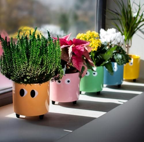 Thumbnail 6 de Fisura Macetero Original ojos amarillo 13×12,5 cm 🌱