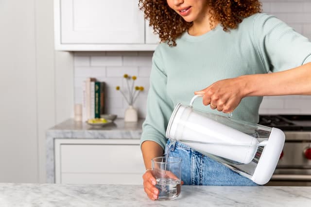 Thumbnail 4 de LifeStraw Home Water Pitcher Replacement Pack (1-Year Supply)