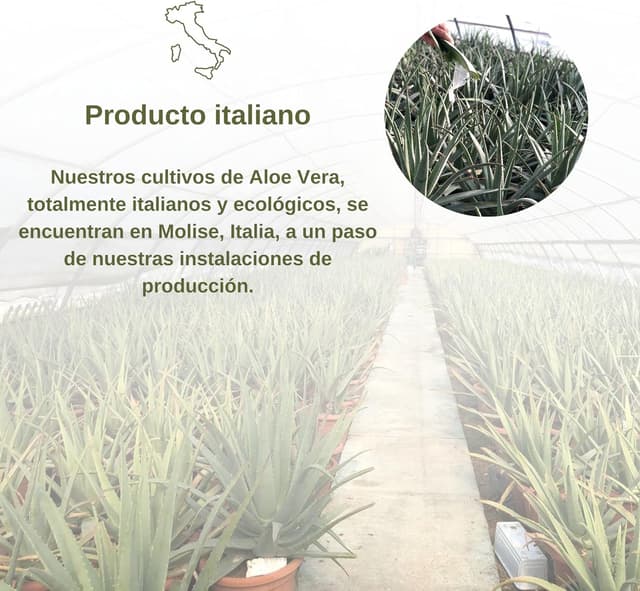 Thumbnail 4 de Benessence Zumo Aloe Vera y Granada 3L 🍹