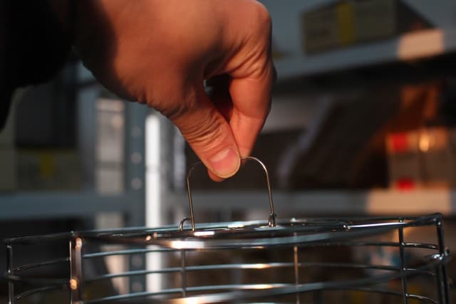 Thumbnail 6 de MLGB 5l Schwarzer Knoblauch Fermenter