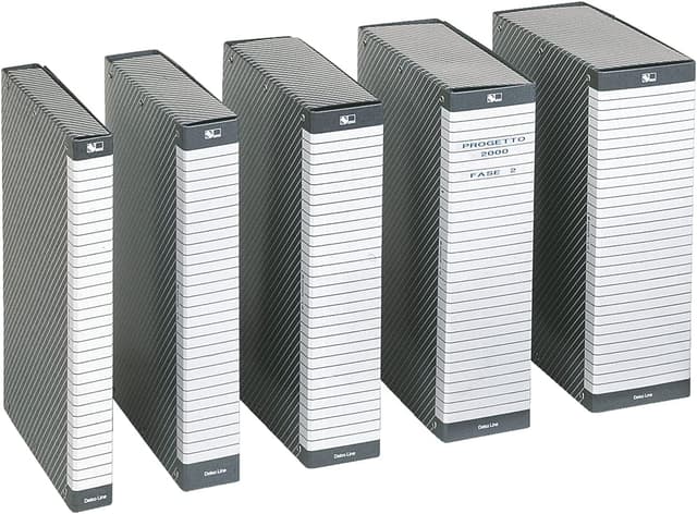 Detalle de Esselte C12 Delso Line cartella progetti con dorso 12 cm, 25 x 35 cm (bianco/grigio) – 390312040