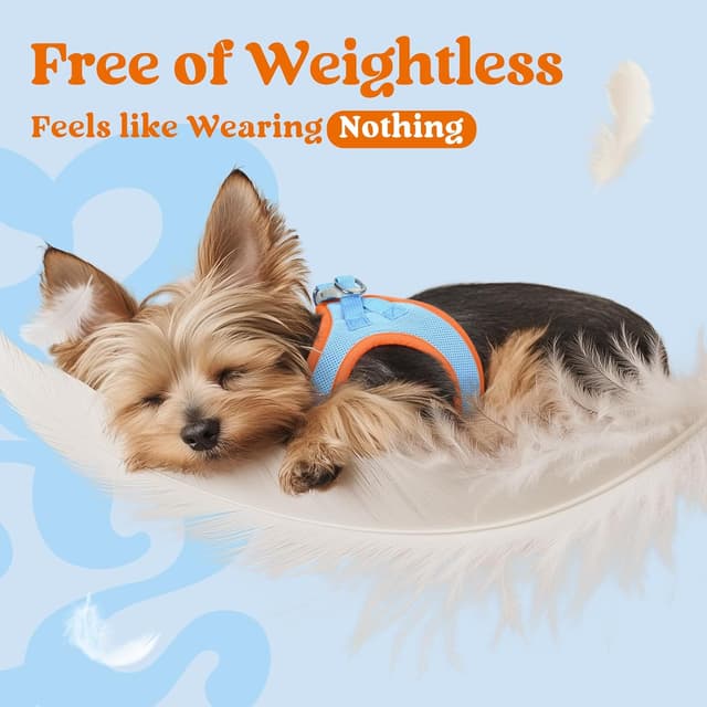 Detalle de rabbitgoo Dog Harness (Small Dog) Step-in Soft Mesh Puppy Harness with Reflective Strips, Blue & Orange, M