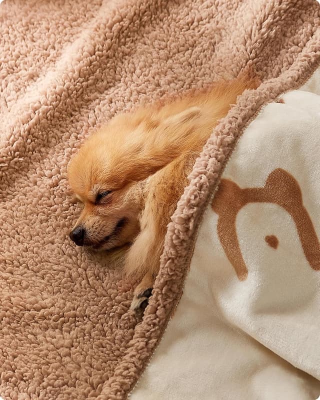 Detalle 2 de Feandrea Waterproof Dog Blanket (Sherpa Fleece & Flannel) PPB040K01, 101 x 73 cm, M