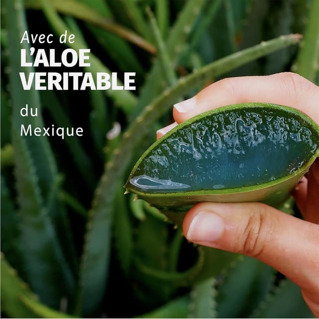 Detalle 2 de Herbal Essences Après-shampoing Aloe hydratant Jasmin, cheveux très secs (350 ml) – vegan