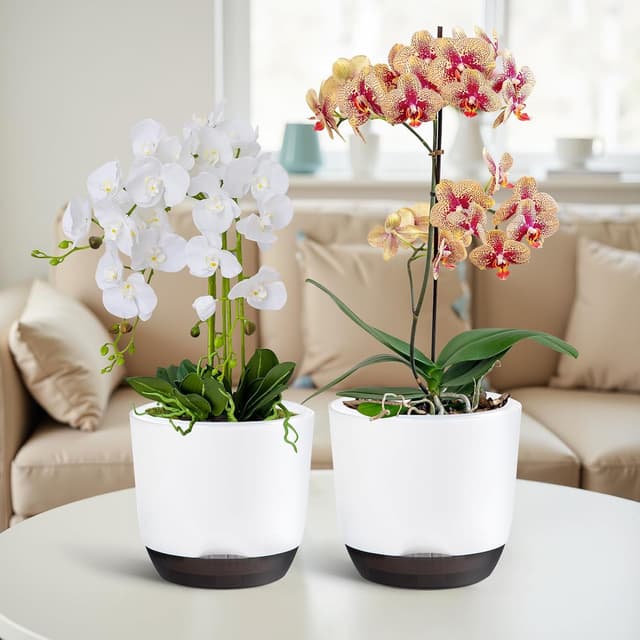 Thumbnail 4 de QCQHDU 7.2in self-watering orchid pots