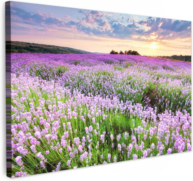 Imagen de MuchoWow Impression sur Toile 60x40 cm en OfertitasTOP