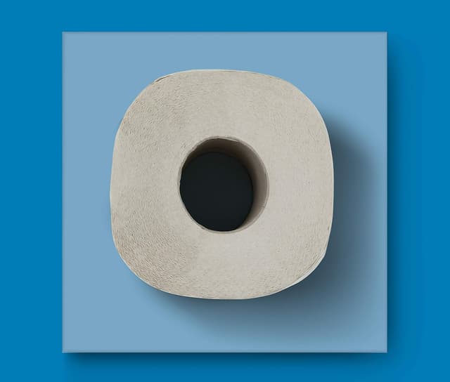 Thumbnail 4 de AmazonCommercial papier toilette 2 épaisseurs recyclé 40 rouleaux