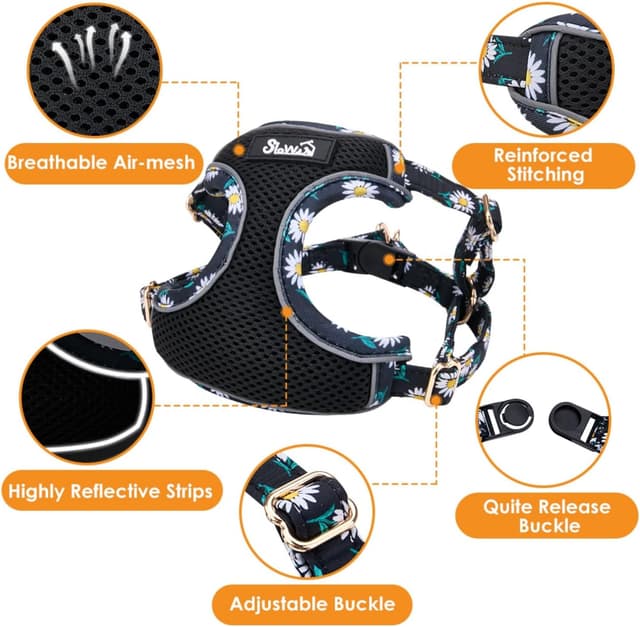 Detalle 2 de Eyein Small Dog Harness and Lead Set (Soft Mesh, Black, Size M)