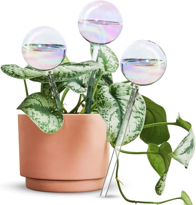 Detalle de Selbstbewässernde Glühbirnen – automatische Pflanzenbewässerungskugeln aus Glas, 3er-Set
