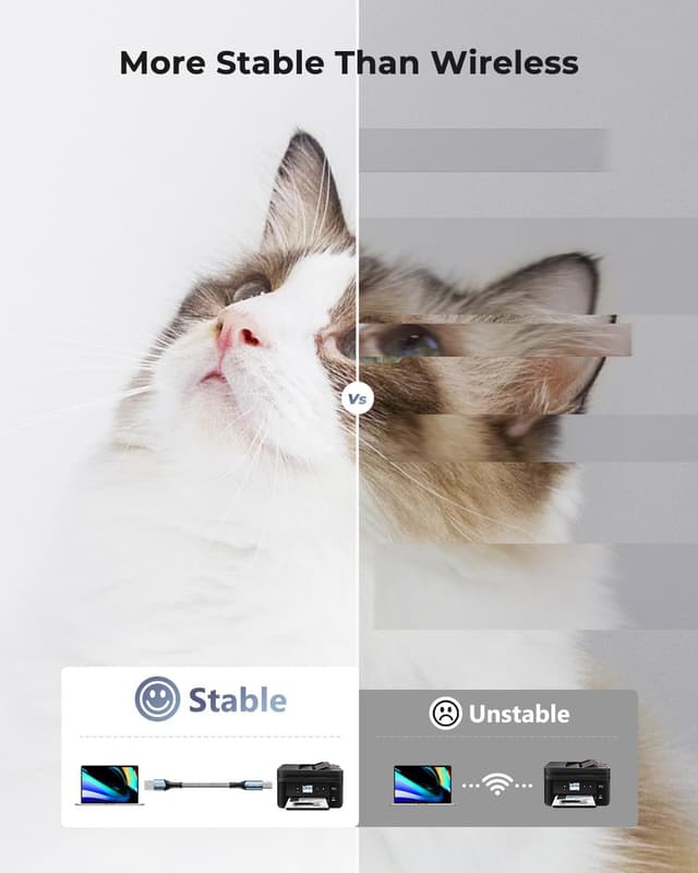 Thumbnail 3 de ANDTOBO USB A to B printer cable 2m