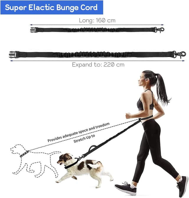 Detalle 2 de Edipets Joggingleine für Hunde freihändig (Laufen & Wandern) mit Gurtband, reflektierend, 160–220 cm – Blau
