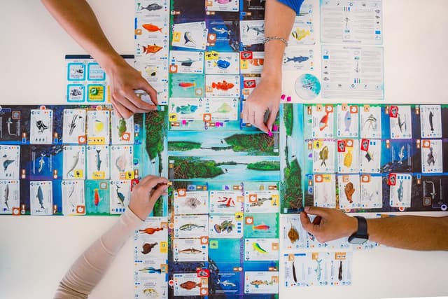 Thumbnail 4 de Stonemaier Finspan board game