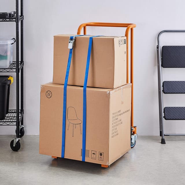 Thumbnail 4 de Amazon Basics Spanngurte 6 m, 25 mm, 800 kg