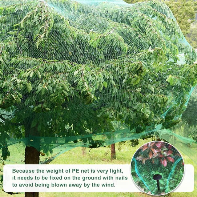 Detalle de 4x6m Garden Netting Mesh – Bird Netting Kit with 20 Ground Pegs (11cm) for Veg Patches & Fruit