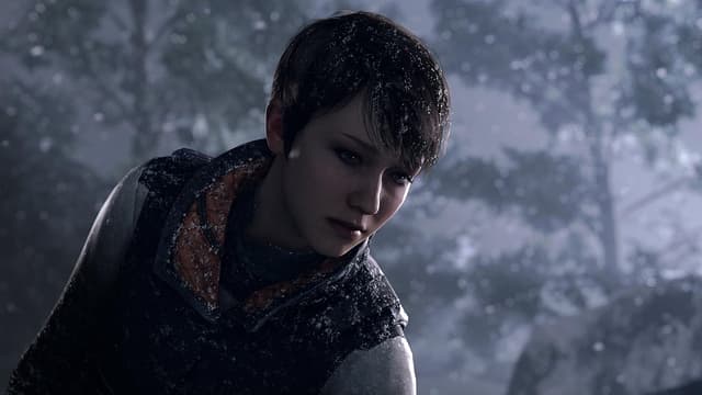 Detalle de PlayStation Detroit : Become Human – une expérience narrative intense sur console PlayStation