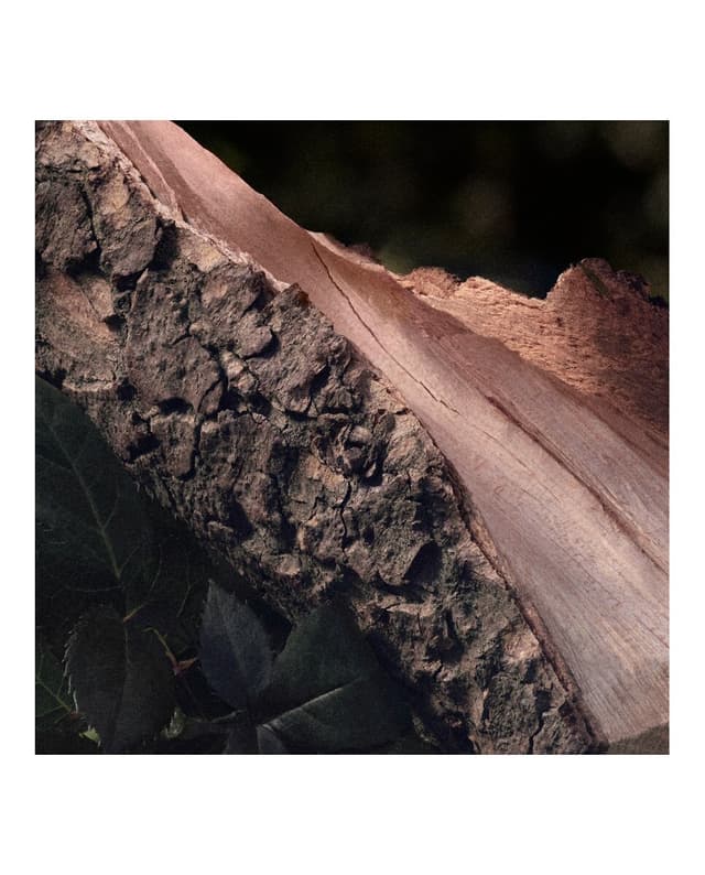 Thumbnail 4 de Chloé Eau de Parfum Rose Naturelle 100 ml perfume