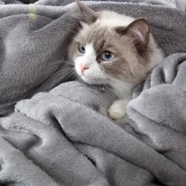 Detalle 2 de Hansleep fleece blanket Twin 60 x 80 in