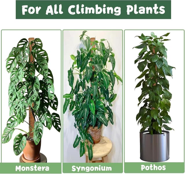 Thumbnail 4 de SZMDLX Moss Pole 160 cm Bendable Coir Plant Support