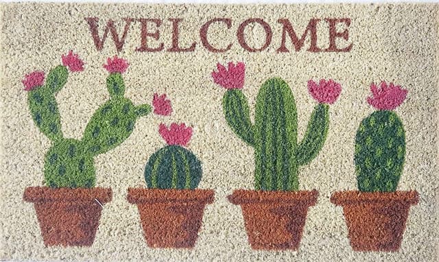 Imagen de Baroni Zerbino da Esterno 70x40 cm in fibra di cocco 🧽 en OfertitasTOP