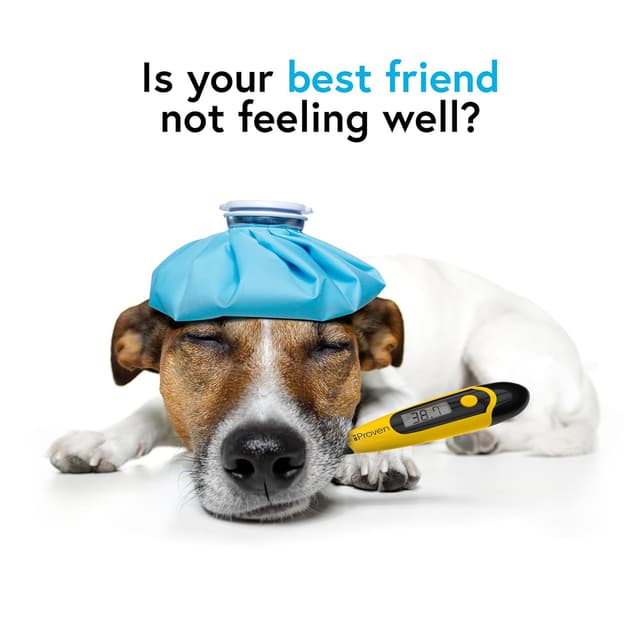 Thumbnail 4 de iProvèn DTK-117Y pet thermometer 20 sec