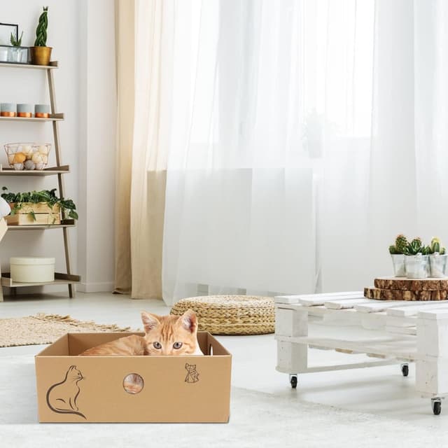 Detalle 1 de MUAEEOK Cat Scratching Board with Box (5 reversible scratch pads) for up to 5kg cats