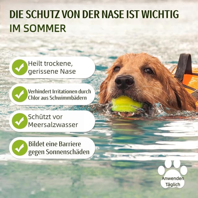 Detalle 2 de Pflanzlicher Nasenbalsam für Hunde (1 oz) – natürliche Feuchtigkeit bei trockener, rissiger Hundenase